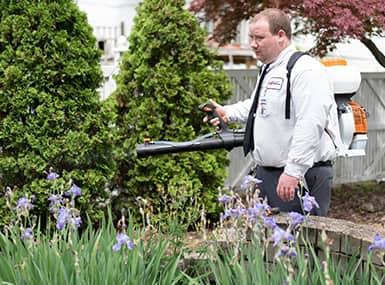 a profession pest control technician treating a bettendorf lawn for preventative mosquito control
