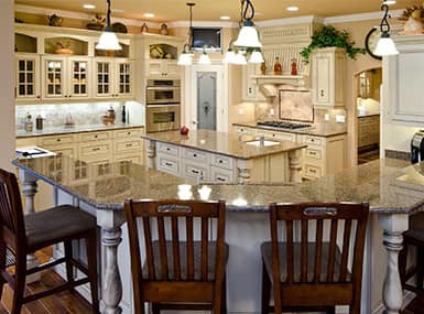 home with year-round pest control services