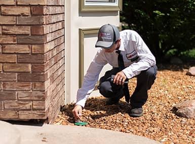 Technician inspecting soil.