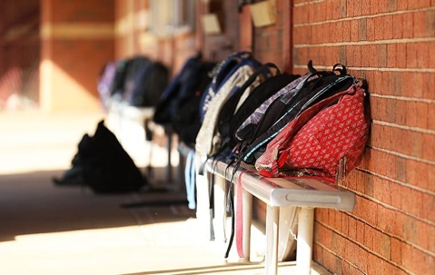 Row of possibly bed bug infected backpacks at a school.