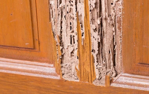 Termite damaged wood panel.
