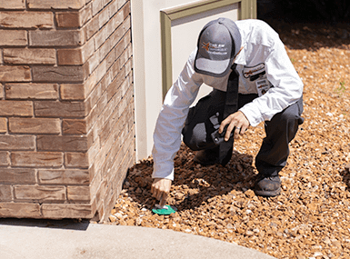 Pest Control Technician installing termite control equipment.