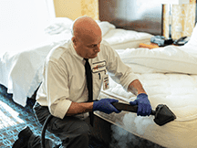 Bed Bug Services